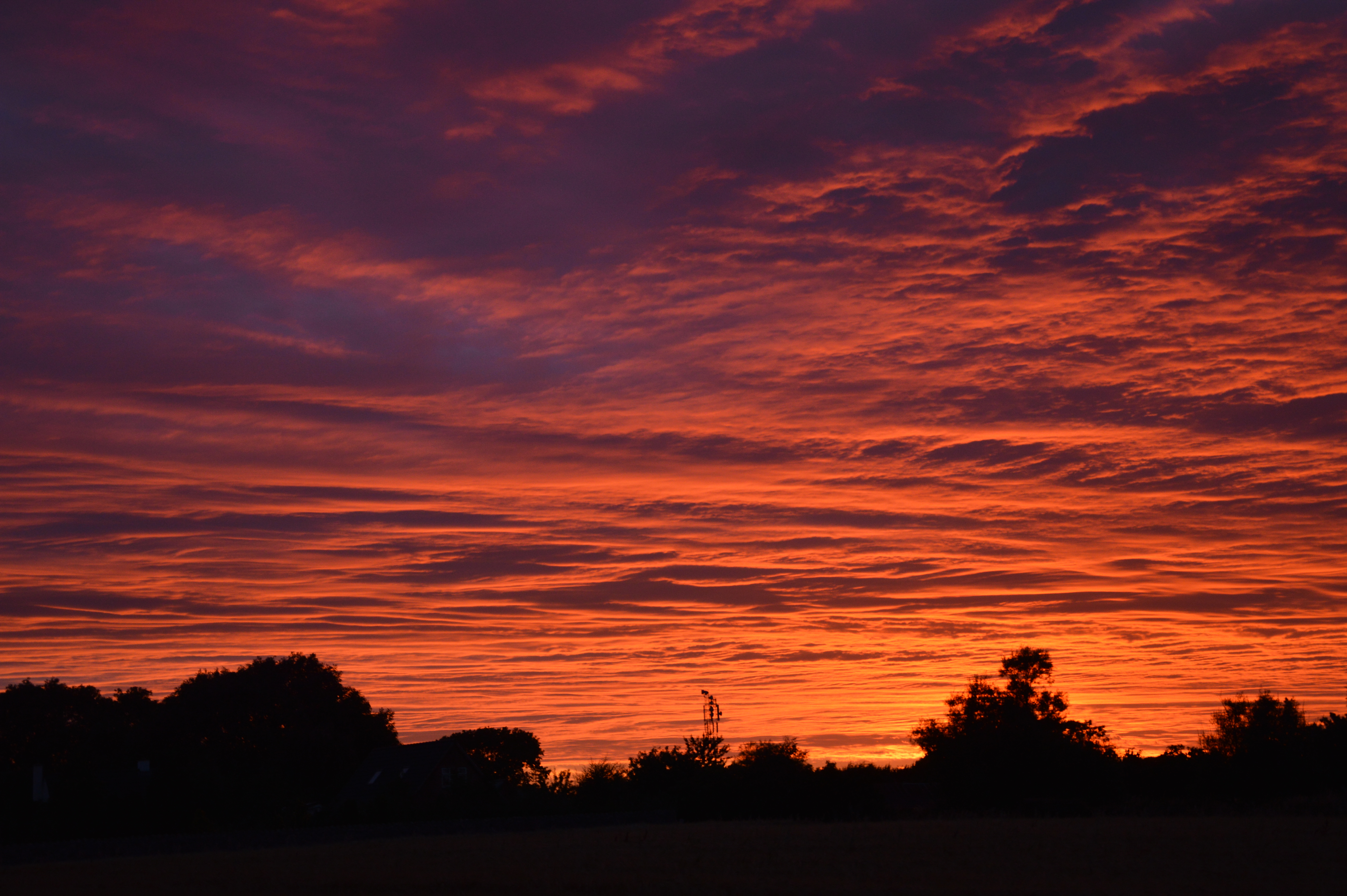 DSC_0448.JPG